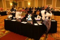 Bras for the Cause Gala 2014.4